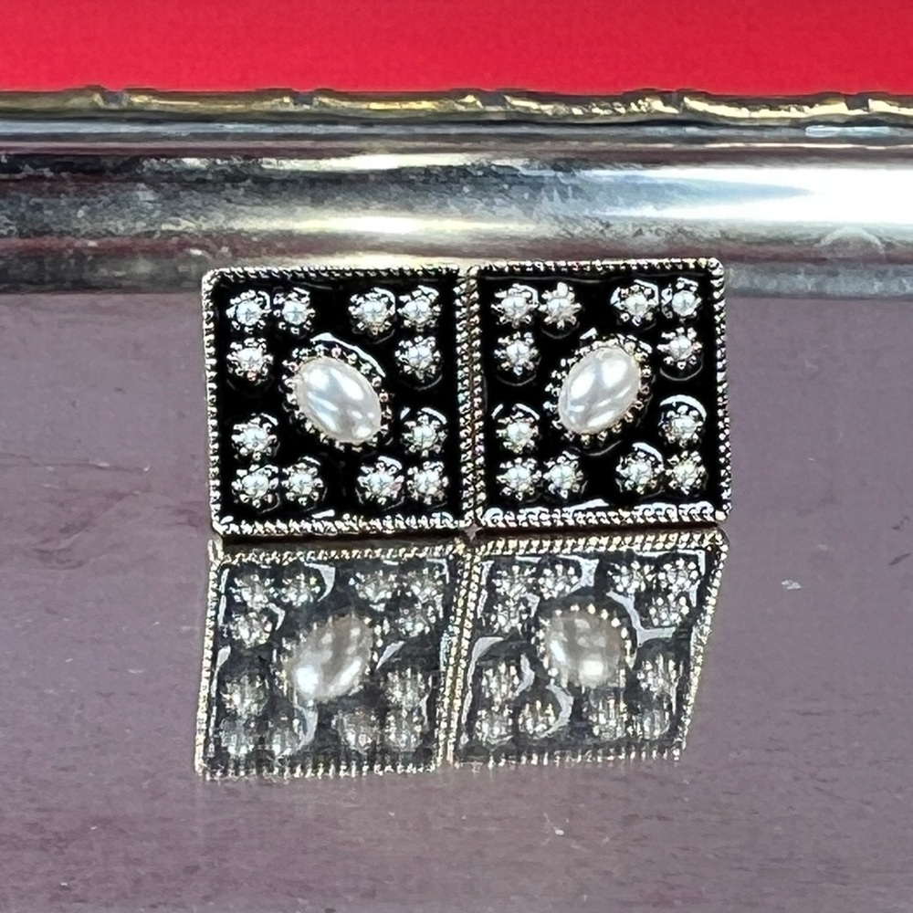 Elegant Black and Silver Stud Earrings